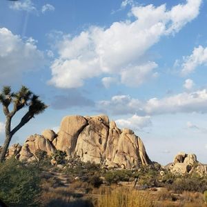 Meet your Posher, Morchea